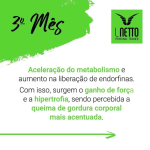 Luís Netto 💪 - Personal Trainer