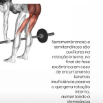 Denise Paixão - Personal Trainer