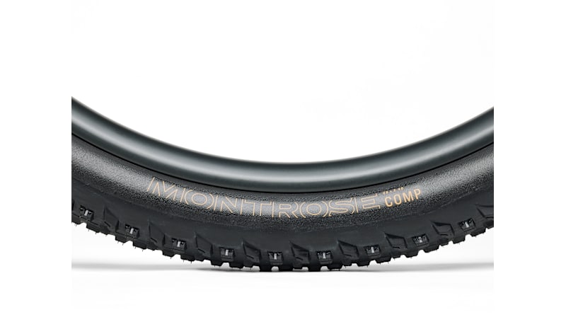 Bontrager Montrose Comp XR MTB Tire - Electra Bikes