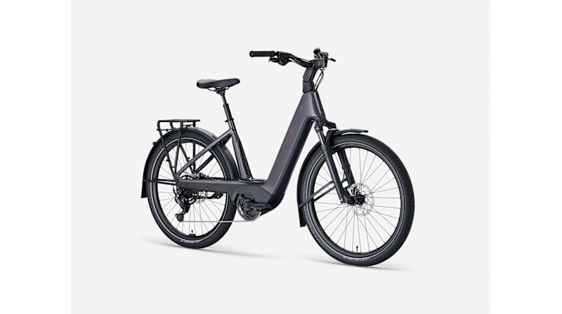 bicycle with 3 wheels Fat Tire Electric Trike 1000W 48V 20Ah, Adult Tricycle with Reverse Mode, 90% Pre-Assembled, Includes Pet Carrier, USA Gray / Trike+Rear Pet Carrier