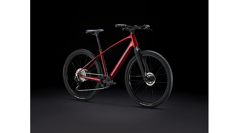 Dual Sport 3 Gen 5 - Trek Bikes (JP)