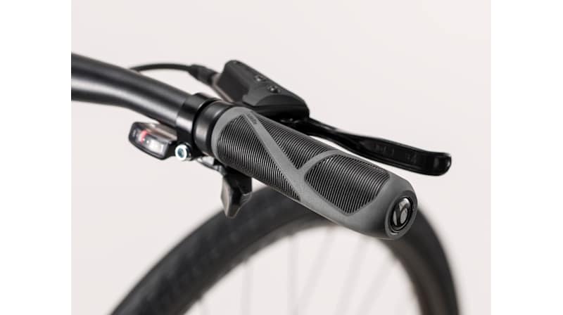 FX 2 Disc Women's - Trek Bikes (JP)