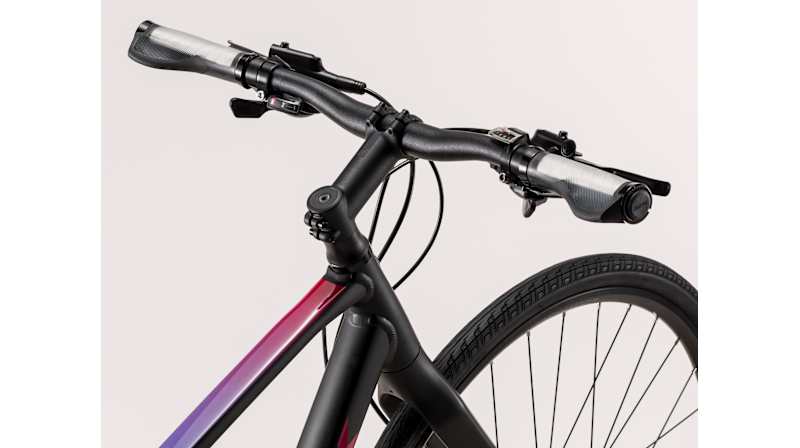 FX 3 Disc Women's - Trek Bikes (JP)