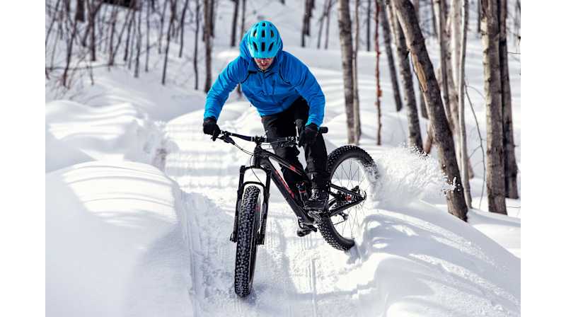 Farley EX 9.8 - Trek Bikes