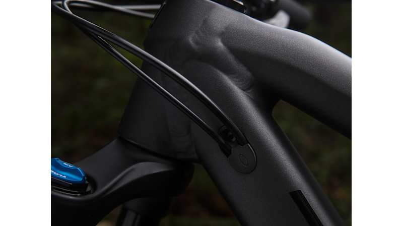 Fuel EX 8 29 - Trek Bikes