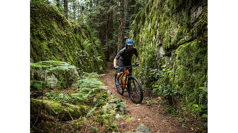 Marlin 6 - Trek Bikes