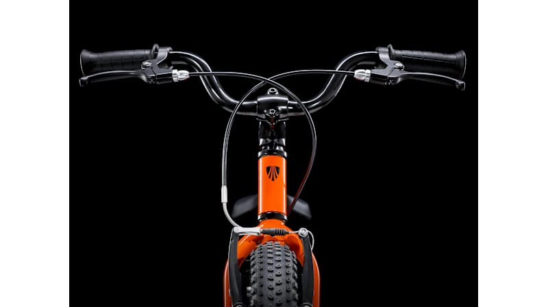 Precaliber 16 - Trek Bikes (JP)