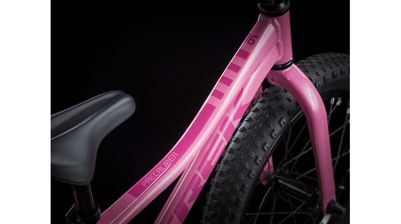 Precaliber 16 - Trek Bikes (CA)