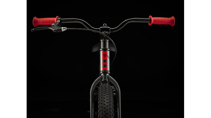 Precaliber 20 - Trek Bikes