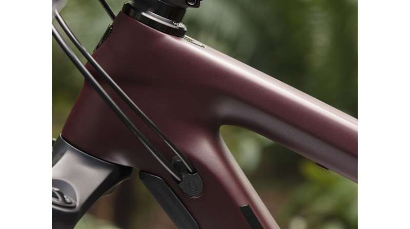 Remedy 9.7 - Trek Bikes (JP)