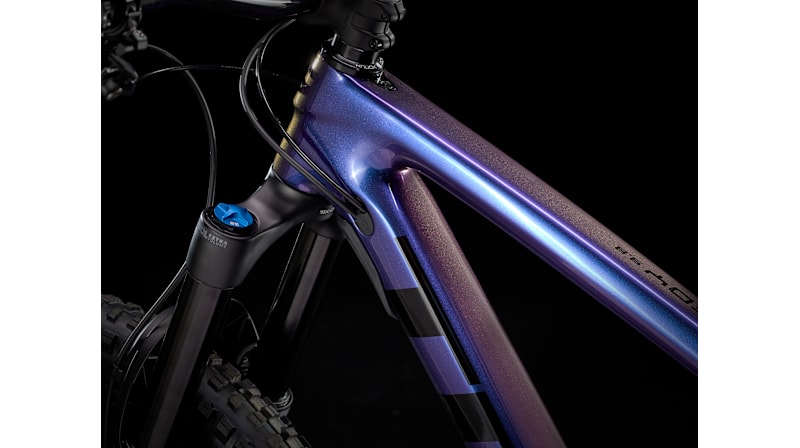 Remedy 9.8 - Trek Bikes (CA)