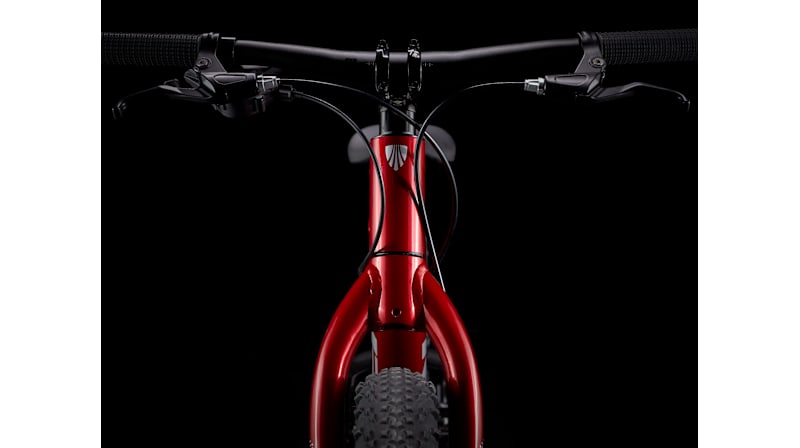 Roscoe 24 - Trek Bikes
