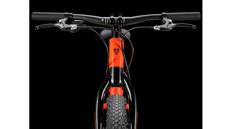 Roscoe 24 - Trek Bikes (JP)