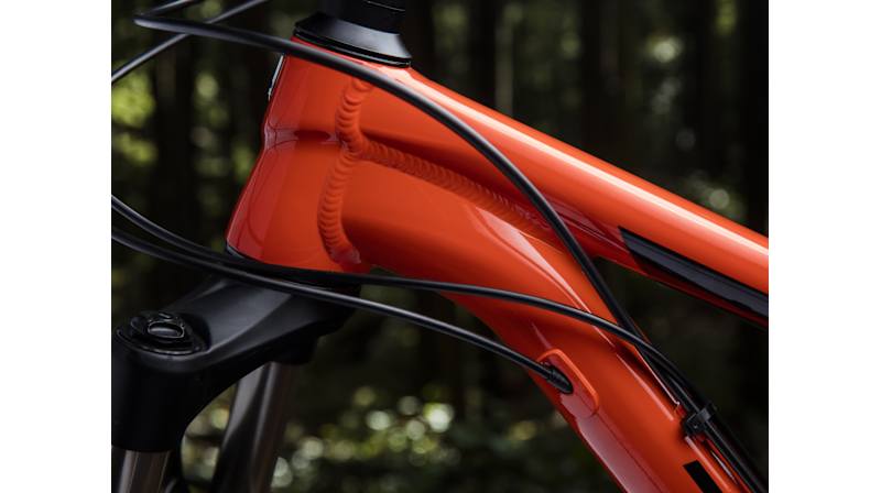 Roscoe 8 - Trek Bikes (JP)