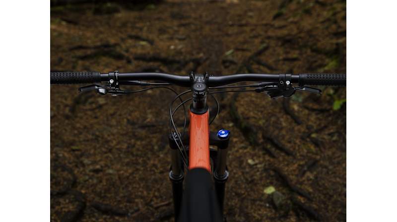 Roscoe 8 - Trek Bikes (JP)