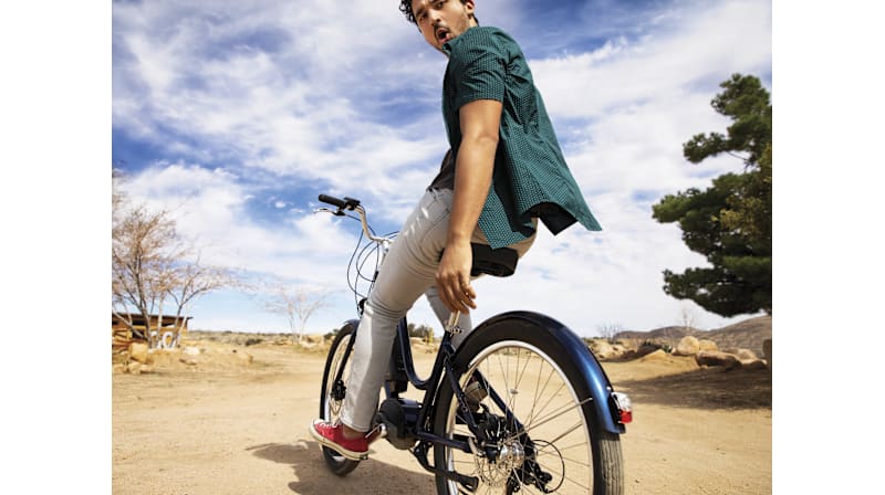 Townie Go! 8D EQ Step-Thru - Electra Bikes