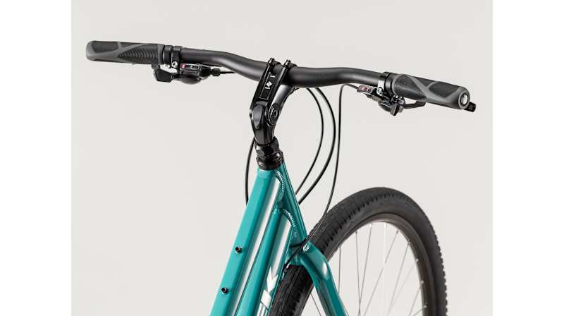 Verve 2 Disc Lowstep - Trek Bikes