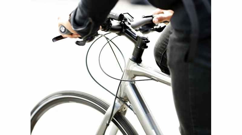 Zektor 2 - Trek Bikes