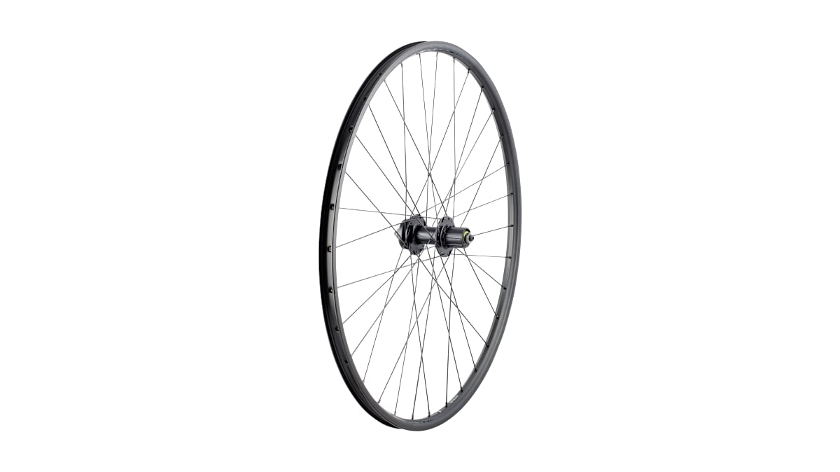 Bontrager Connection Schrader 6-Bolt Disc 29˝ MTB Wheel - Trek Bikes