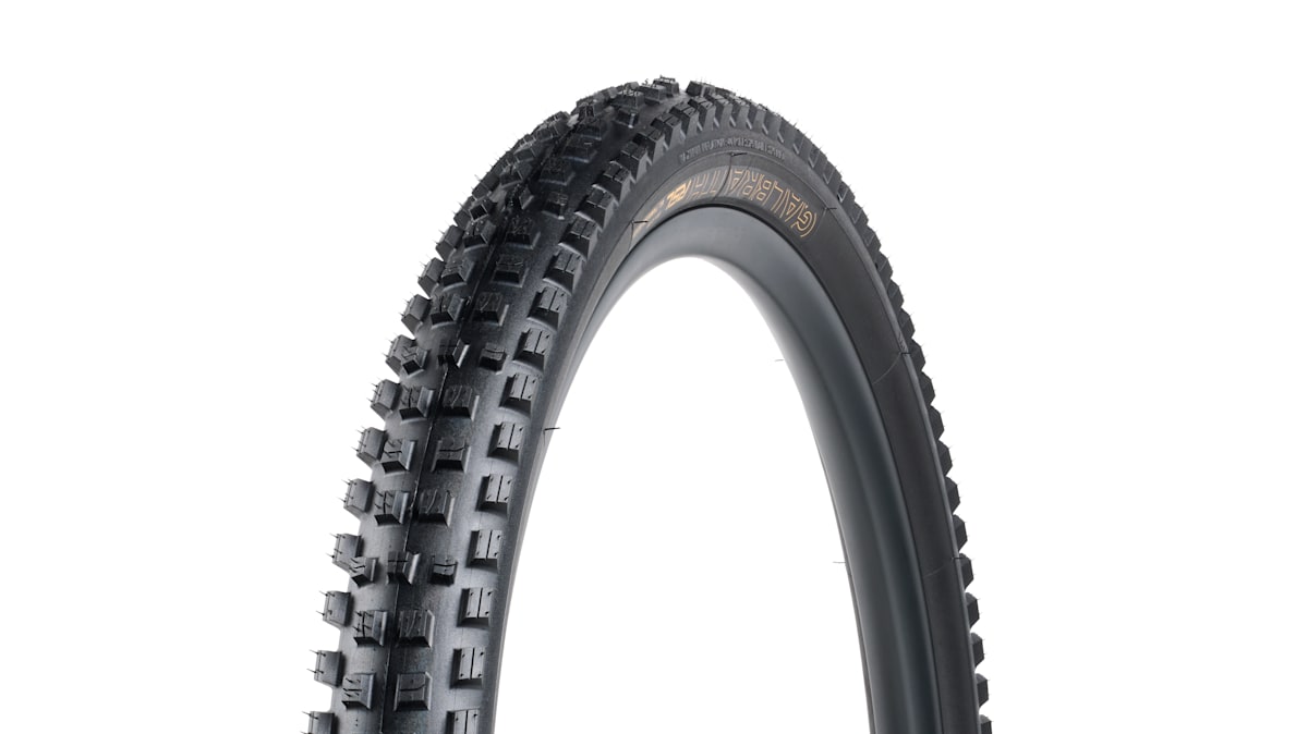Bontrager Galbraith RSL SE TLR MTB Tire - Trek Bikes