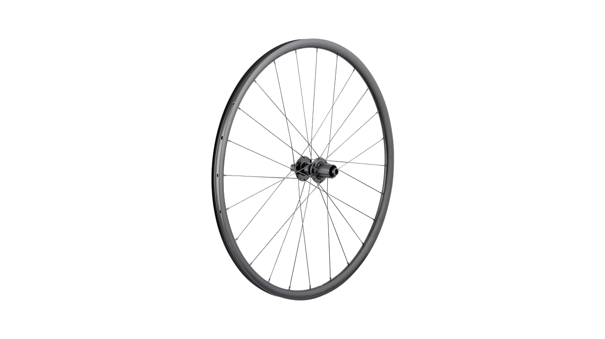 Bontrager Paradigm SL Centerlock Disc 24H Black Nipples 700c Road