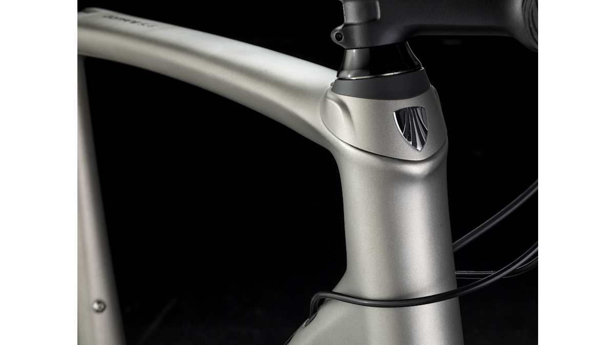 Domane SL 6 Disc - Trek Bikes (JP)