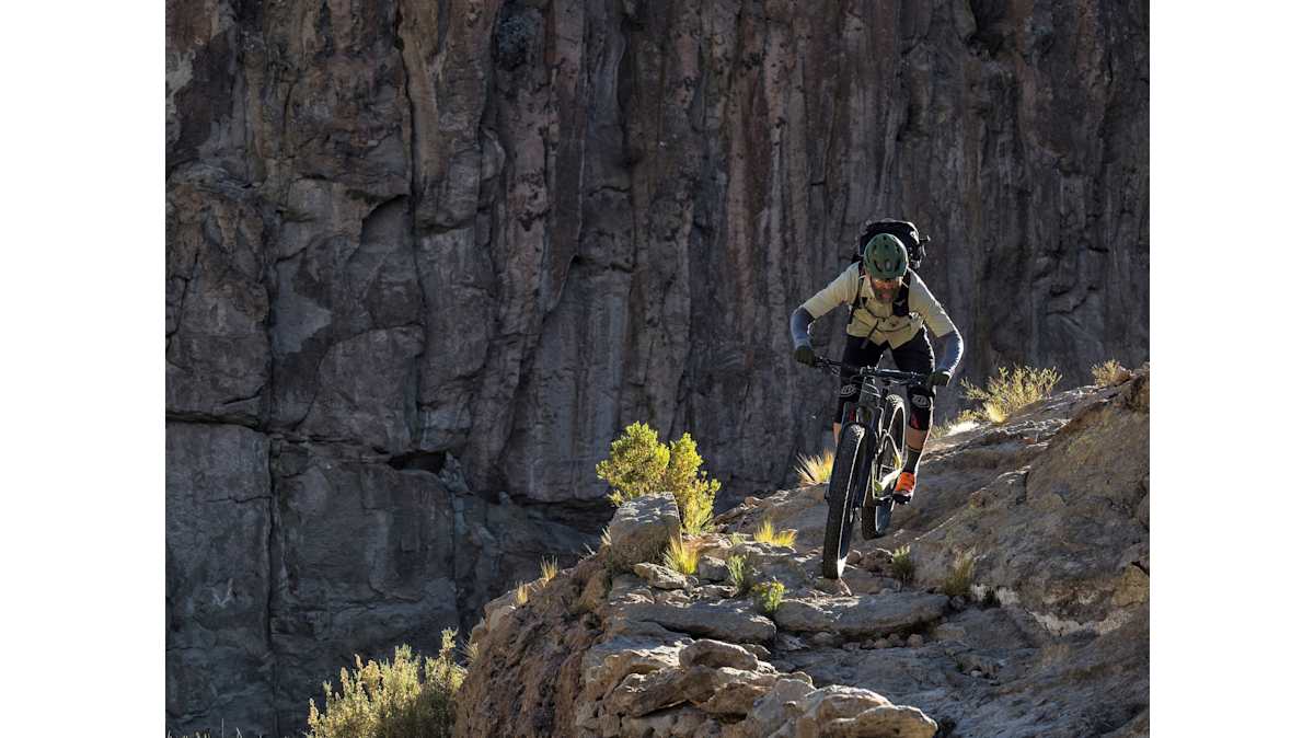 Full Stache 8 - Trek Bikes (JP)