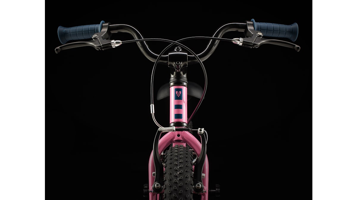 Precaliber 16 - Trek Bikes (JP)