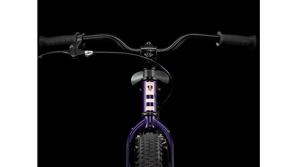 Precaliber 20 - Trek Bikes