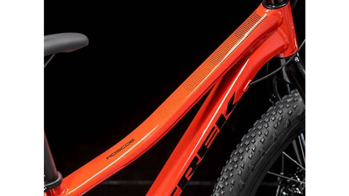 Roscoe 24 - Trek Bikes (JP)