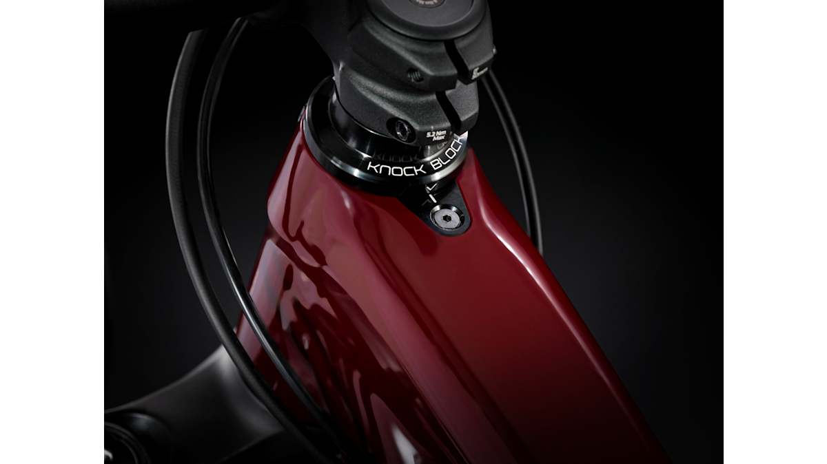 Slash 8 29 - Trek Bikes (JP)