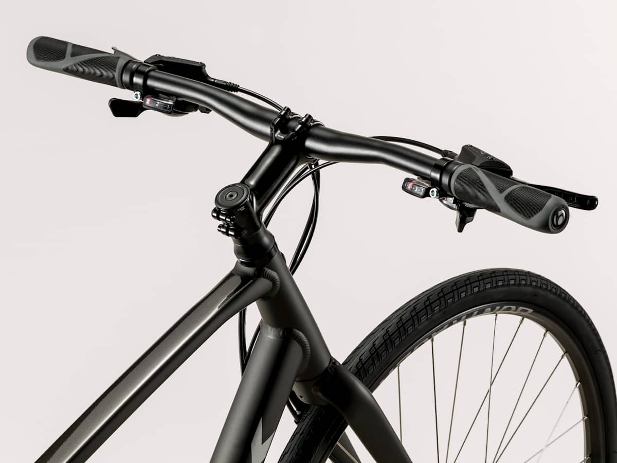 FX 2 Disc - Trek Bikes (JP)