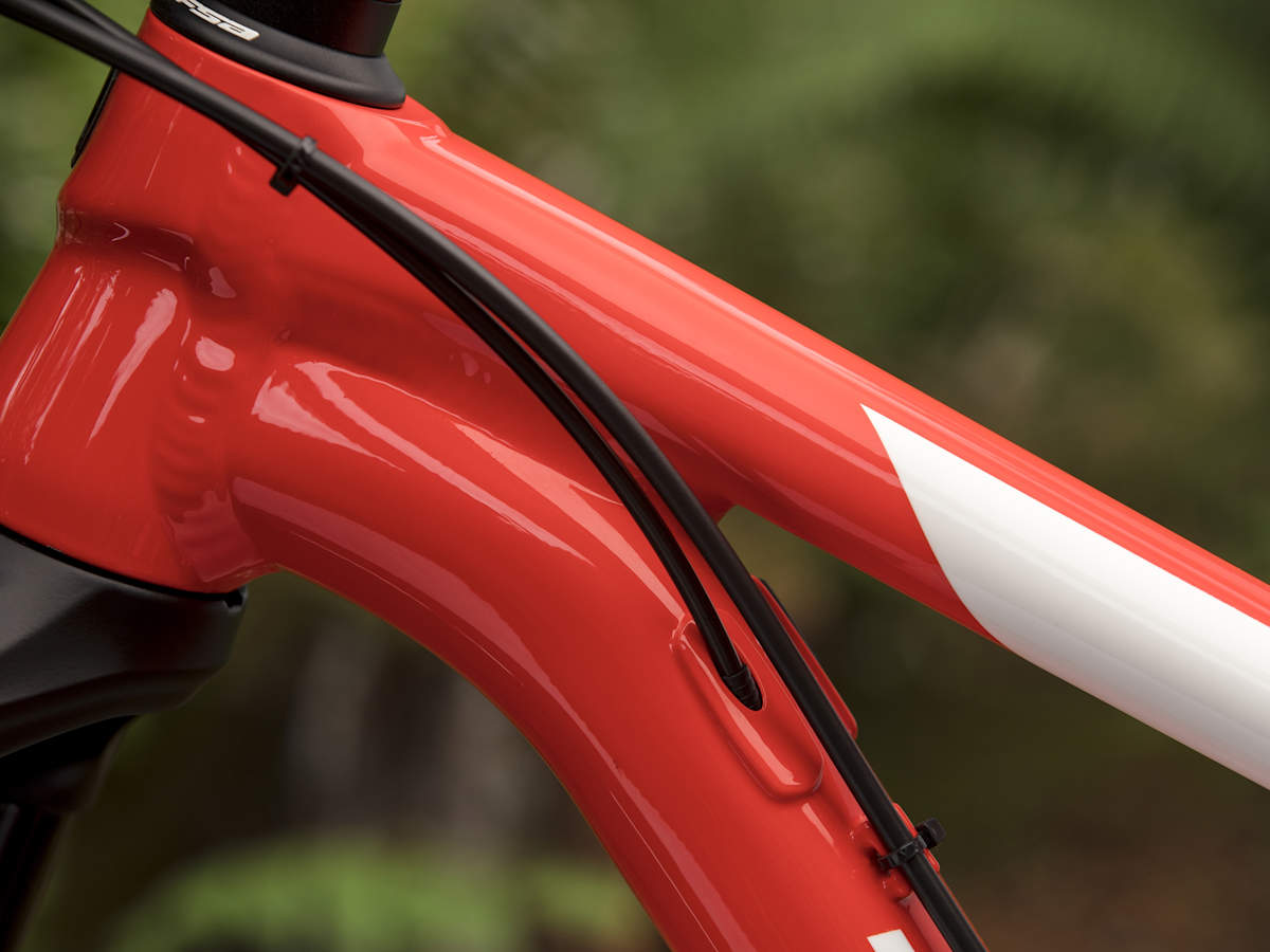 TREK PROCALIBER 6 フレーム サイズ18.5 2020年 2020 Trek Procaliber 6 – Specs, Comparisons, Reviews – 99 Spokes