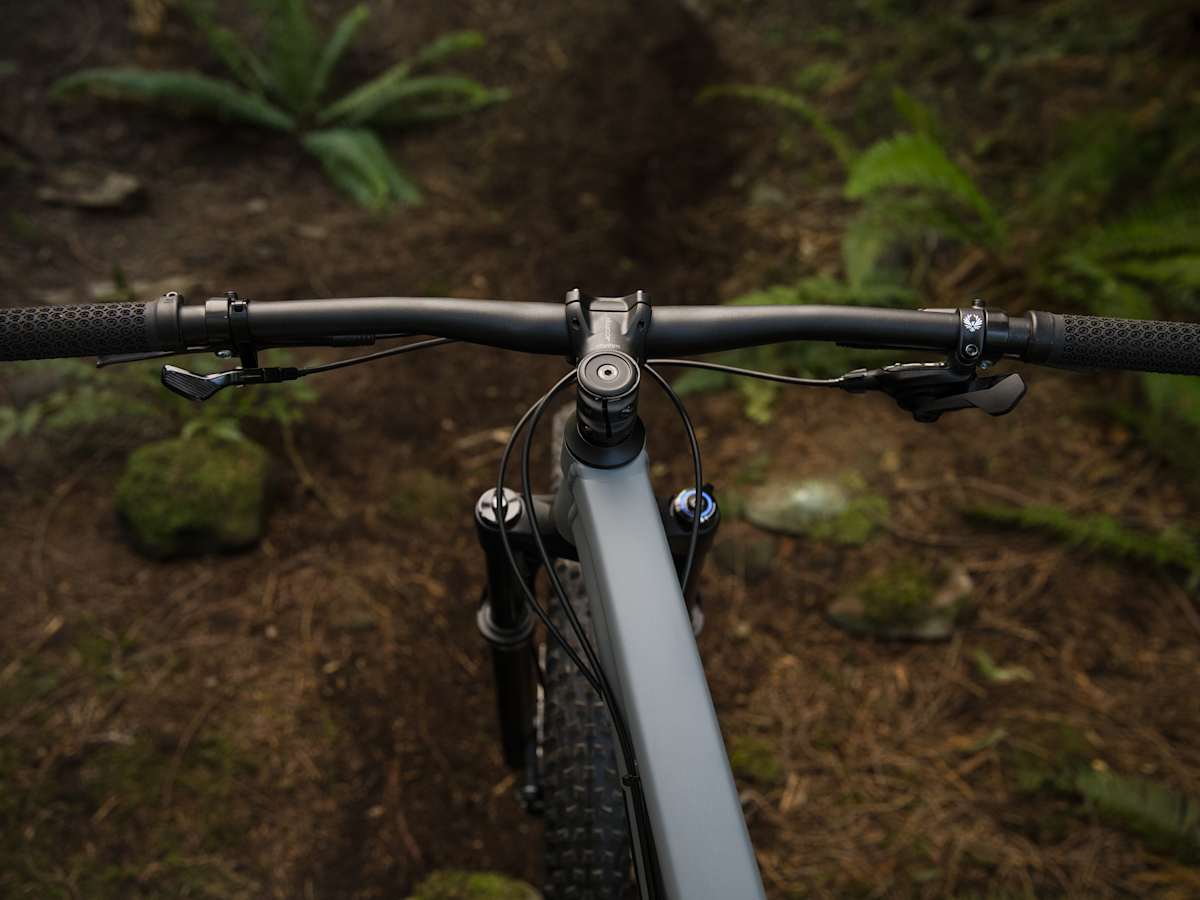 TREK ROSCOE 8 マウンテンバイク グレー トレック 2019年 Roscoe8(ロスコー8) 遊びの幅が広がるセミ