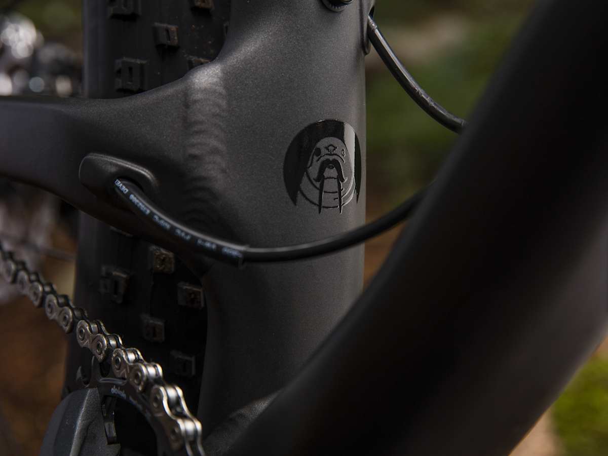 Stache 5 - Trek Bikes (JP)