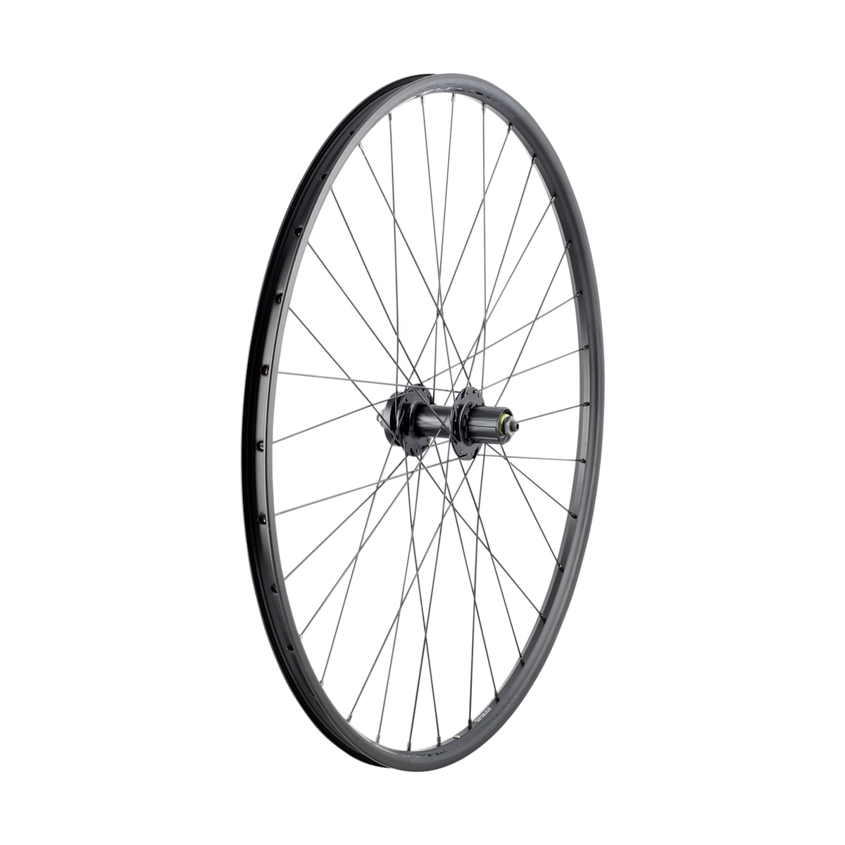 TREK Bontrager CONNECTION Disc ホイールセット Bontrager Connection Quick Release 6-Bolt Disc 29˝ MTB Wheel