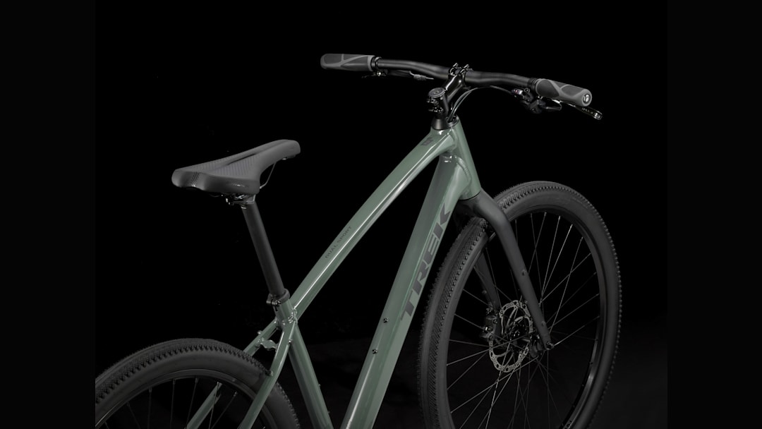 Dual Sport 2 Gen 5 - Trek Bikes