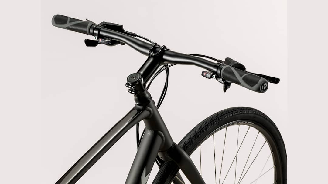 FX 2 Disc - Trek Bikes (JP)
