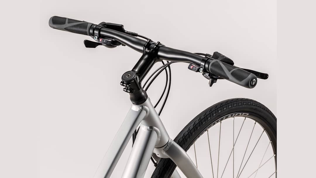 FX 2 Disc Women's Stagger - Trek Bikes