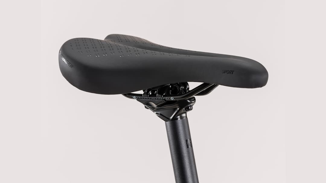 FX 2 Disc Women's - Trek Bikes (JP)