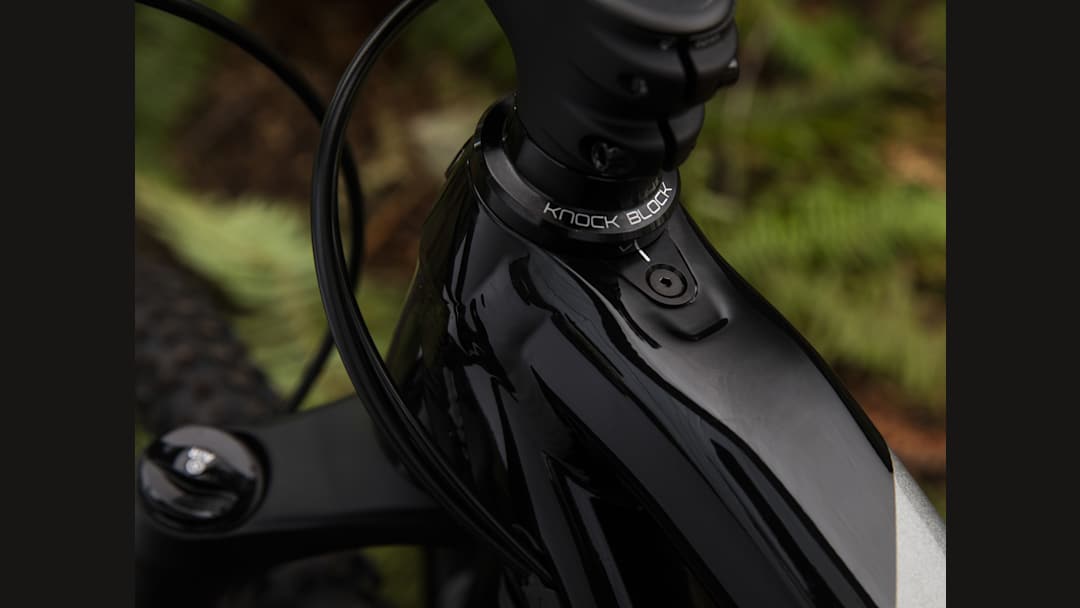 Fuel EX 5 29 - Trek Bikes (JP)