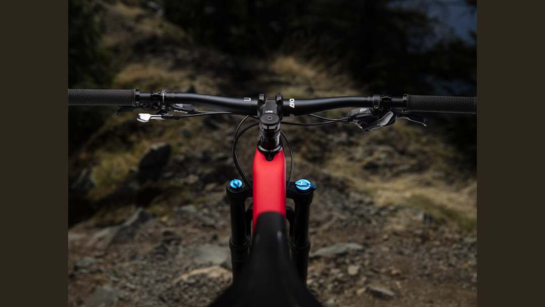 Fuel EX 9.7 29 - Trek Bikes