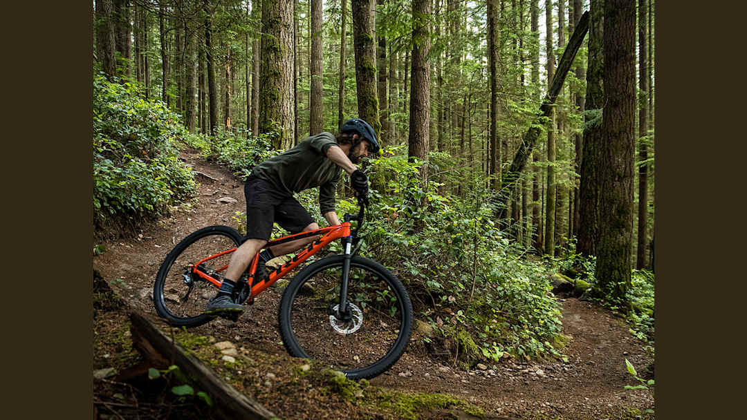 trek bicycles for men FX Sport 6 Carbon L Matte Bronze Age/Deep Smoke Procaliber 6 is a cross Trek Bike Womens Bike 21