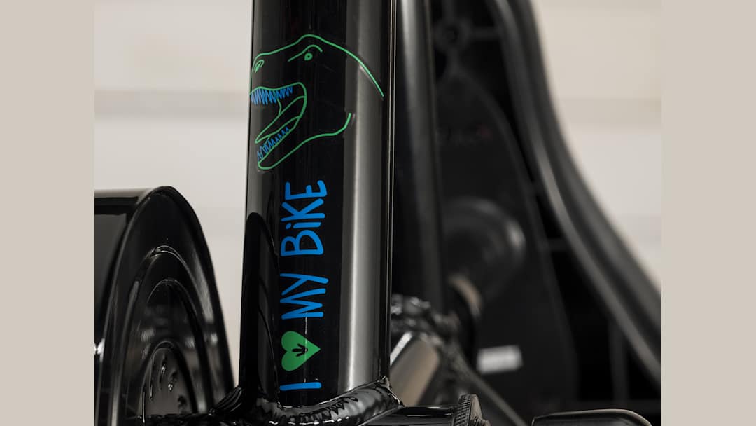 Precaliber 16 Boy's - Trek Bikes