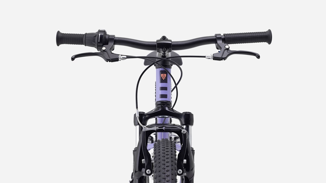 Precaliber - Trekのベストセラーキッズバイク (JP)