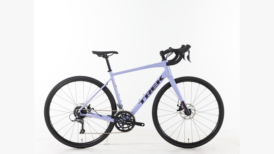 Domane AL 2 Gen 4 - 2027, 54cm - Trek Bikes