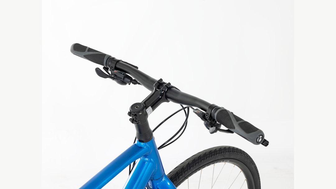 FX 2 Disc - 2021, Medium - Trek Bikes