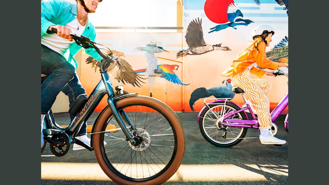 sun bicycles vs electra making it your ideal beach accessory Electra Townie Go! throttle electric