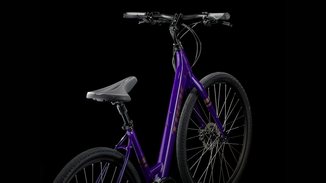 Verve 3 Disc Lowstep Gen 4 - Trek Bikes