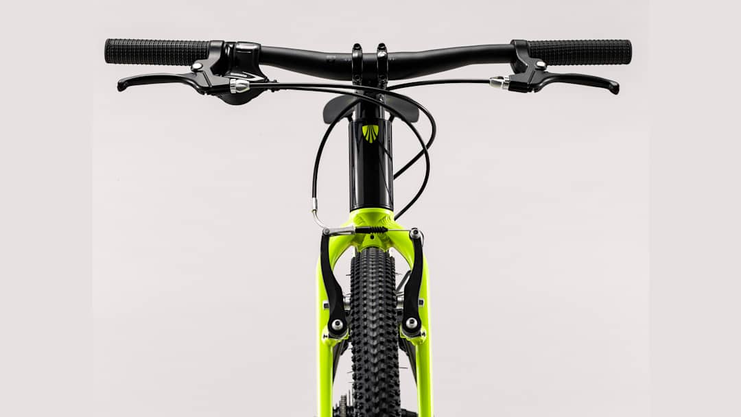 Wahoo 26 - Electra Bikes